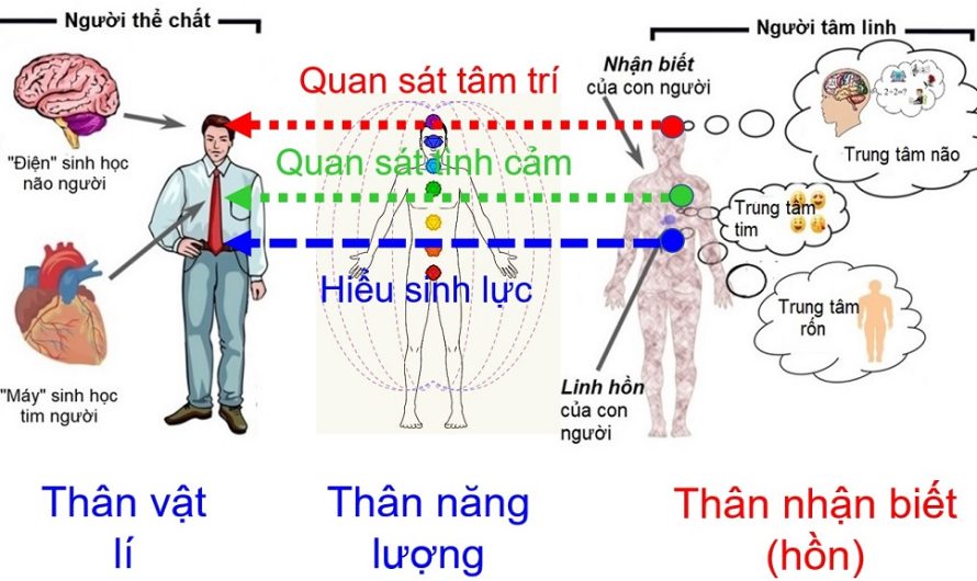 Kết nối của hồn với thân