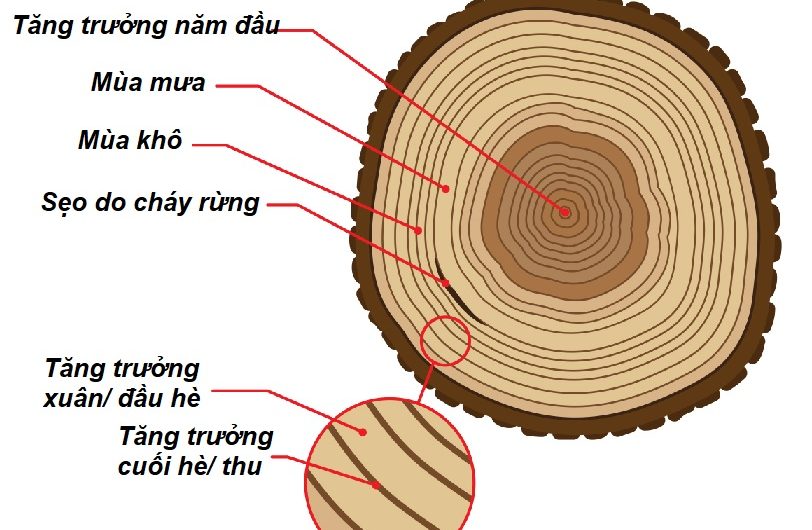 Chiêm tinh học nghiên cứu dấu vết thay đổi của vũ trụ