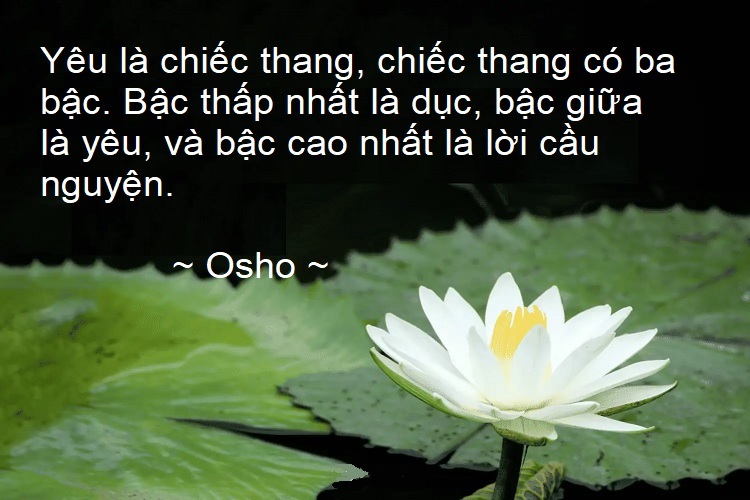 Chiếc thang ba bậc của yêu