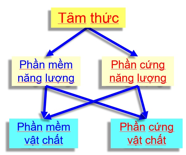 Tâm thức và năng lượng