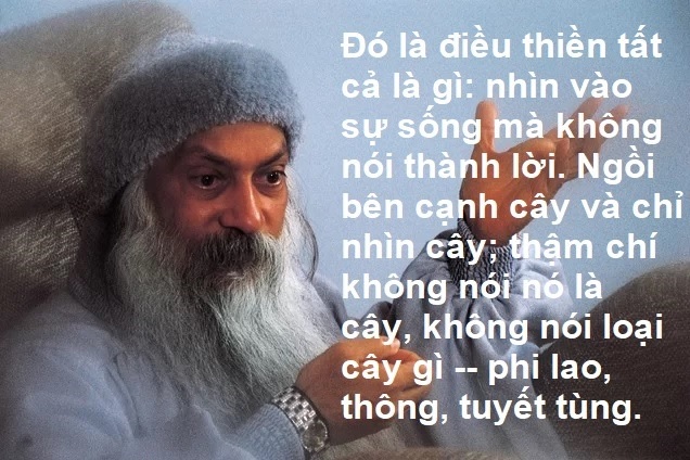 Hiện hữu phi lời