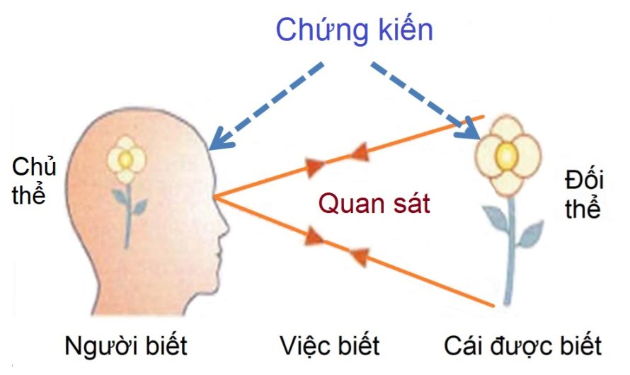 Kĩ thuật biết người biết và chứng kiến