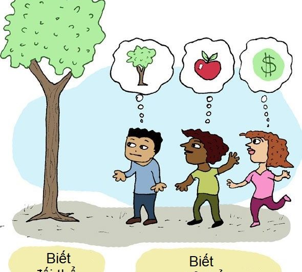 Việc biết có là kinh nghiệm trí tuệ không?