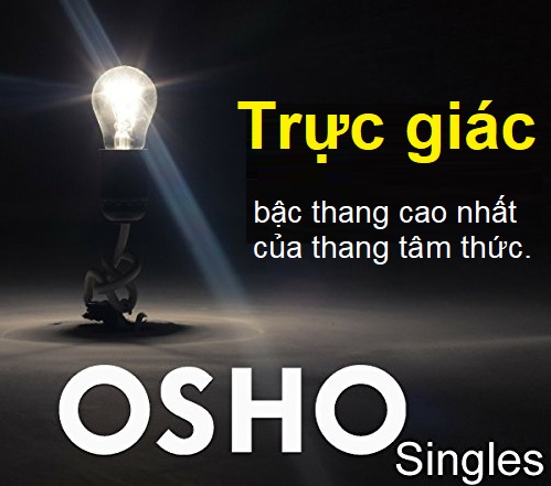 Sống qua trực giác có phải là thành công không?