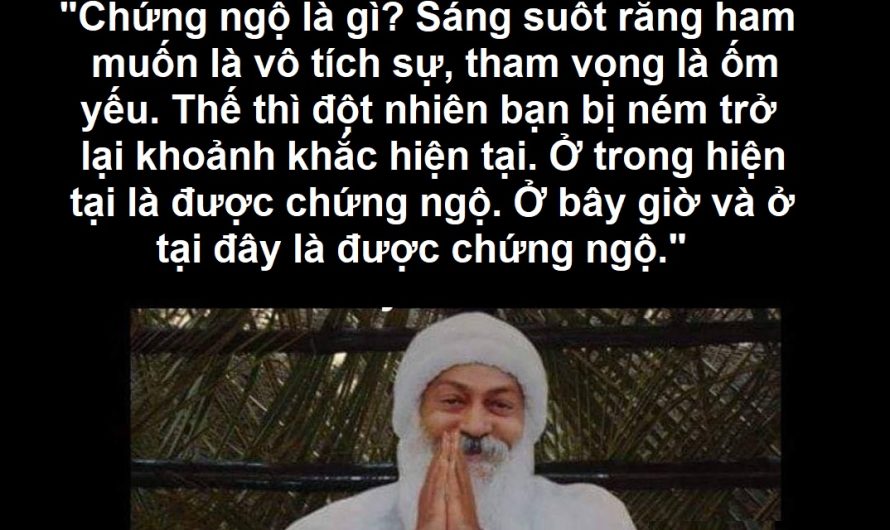 Chứng ngộ là gì?