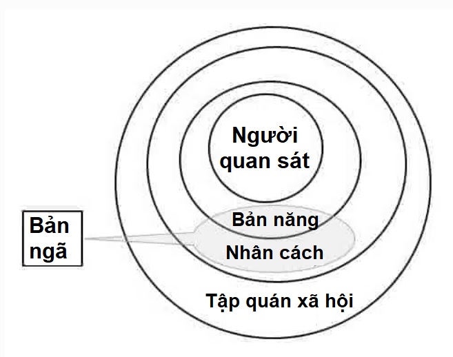 Nhân cách và người quan sát