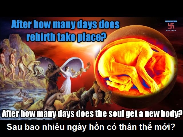 Thời gian vào thân thể mới