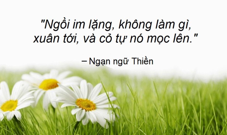 Ngồi im lặng, không làm gì, xuân tới và cỏ tự nó mọc lên