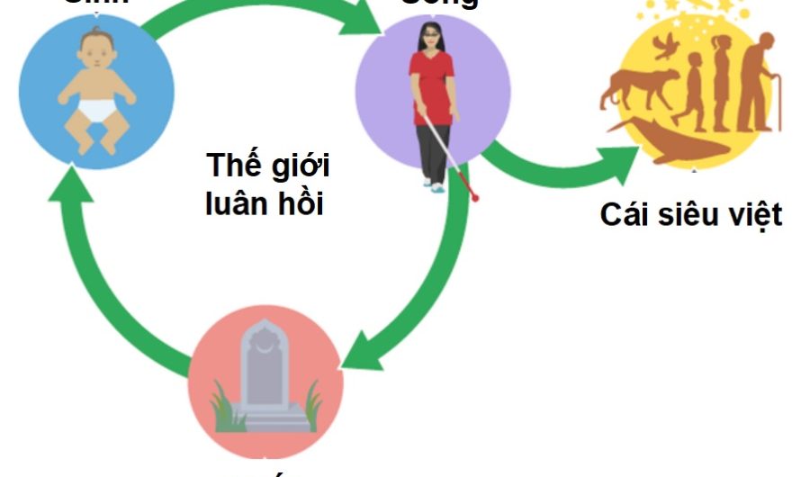 Thế giới và cái siêu việt