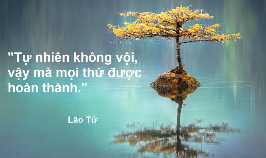 Tự nhiên tính