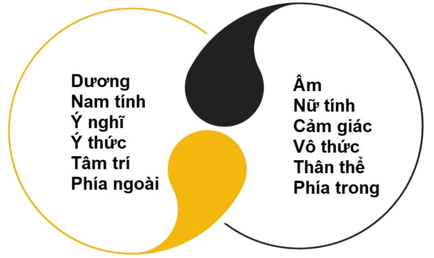 Cách thức của tâm trí nam và nữ