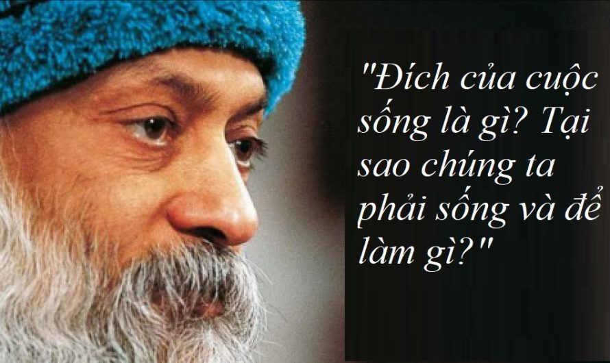 Cuộc sống vô đích