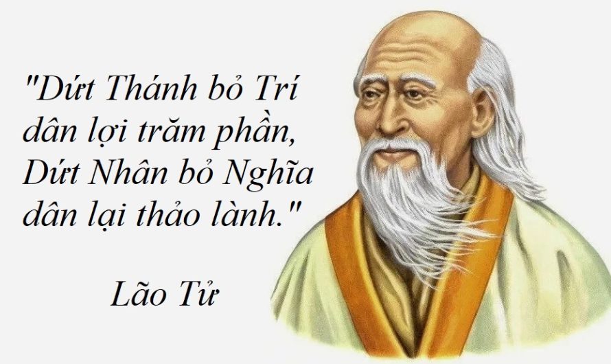 Bỏ thông tin, hiểu biết, trí huệ