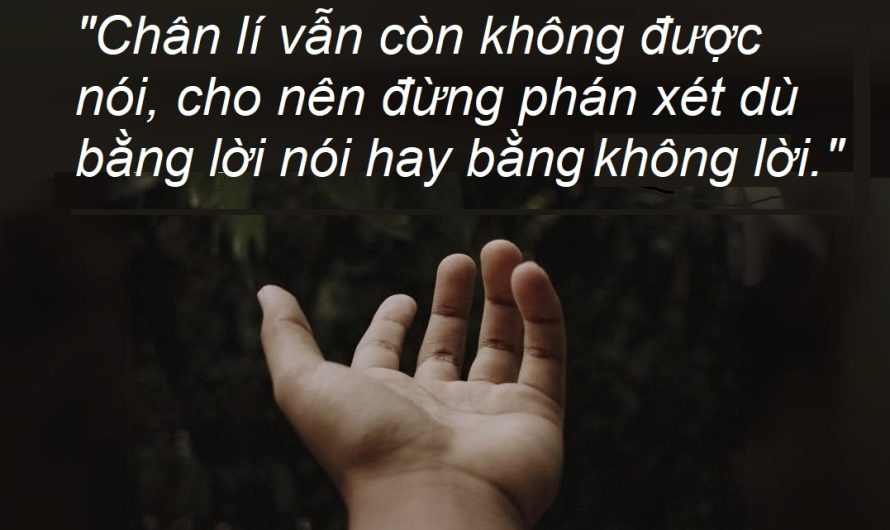 Đệ tử không phán xét