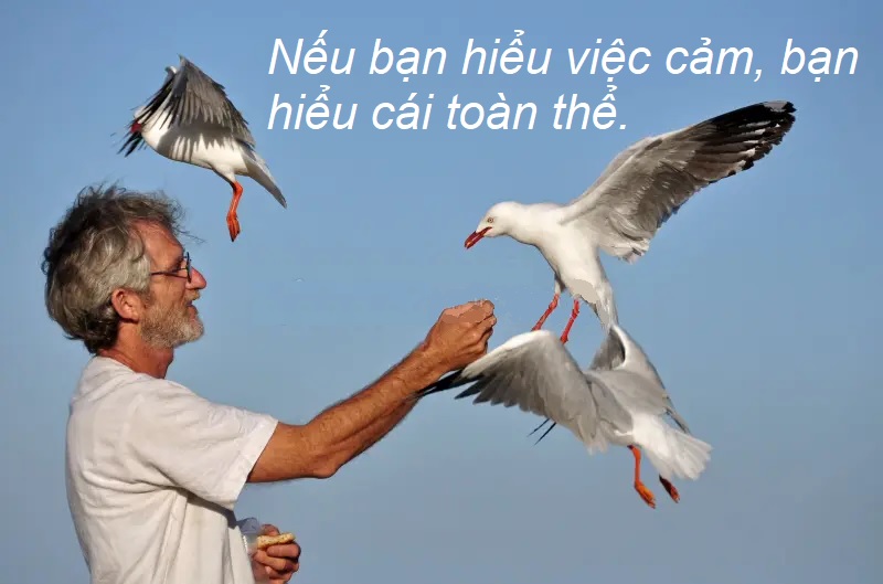 Yêu-Cảm-Nghĩ