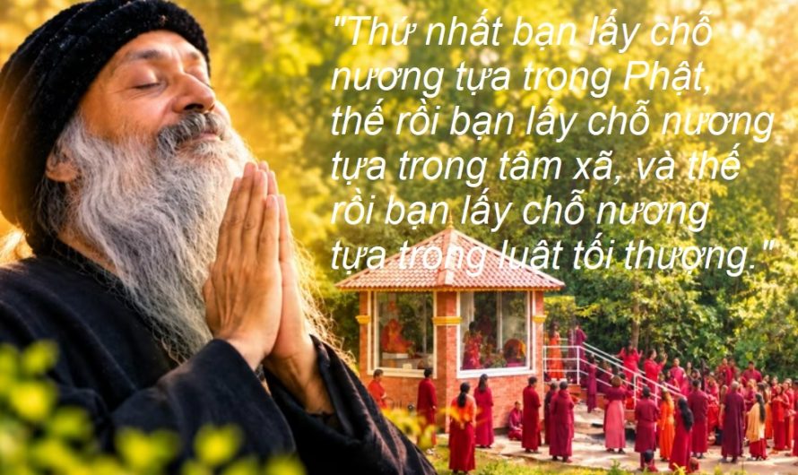 Hài hoà đồng bộ của tâm xã
